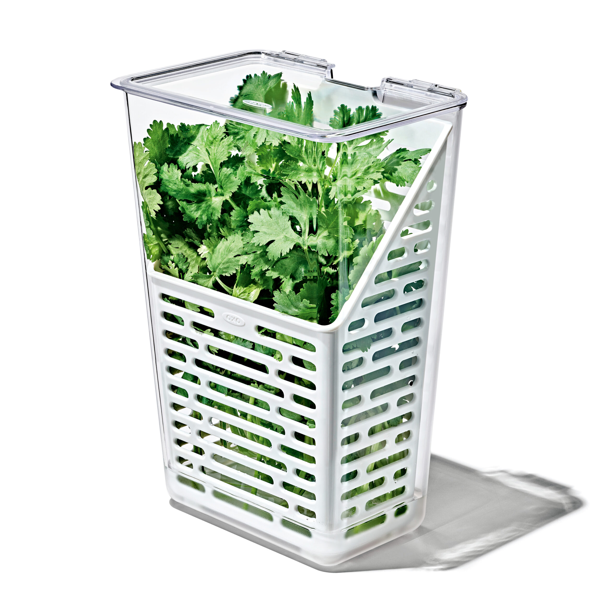 Produce Saver – Herb Keeper